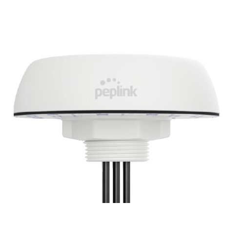 Peplink ANT-MB-20G-S-B-6 MIMO Antenna Threaded Bolt-Black-IP68-6' Cables-2 LTE (SMA M)-1 GPS (SMA M)