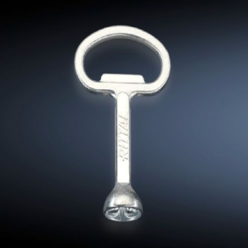 Rittal 2549600 Enclosure key HD