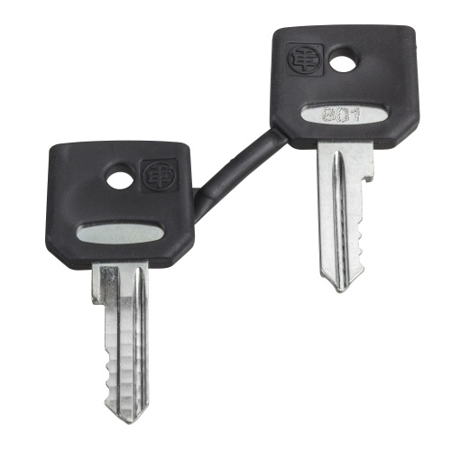 Schneider Electric ZBG458A set of 2 keys 458A